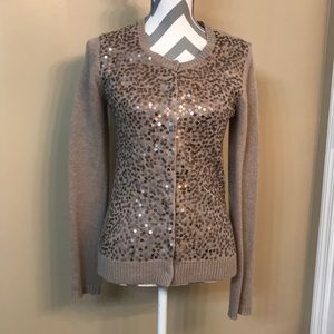 Ann Taylor Sweater